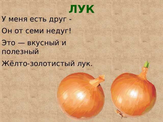 Викторина правильное питание для начальной школы