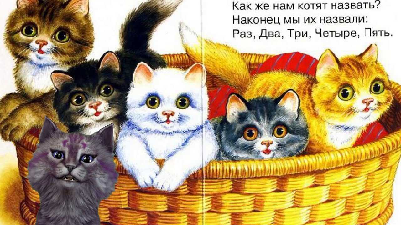 Про белочек, зайчат и весёлых медвежат – муниципальное бюджетное учреждение культуры измалковского района липецкой области "централизованная библиотечная система"
