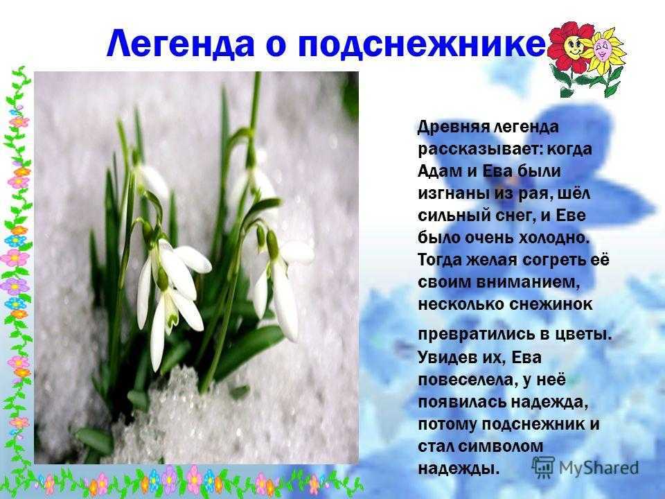 Описание природы весной в лесу. описание весны в художественном стиле