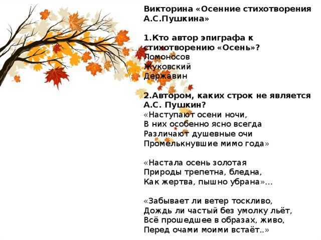 Анализ стихотворения а. с. пушкина «осень» (отрывок)