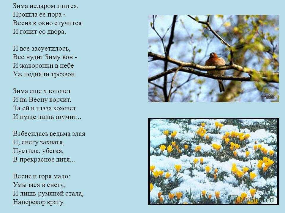 Поздравления с первым днем весны в прозе и стихах