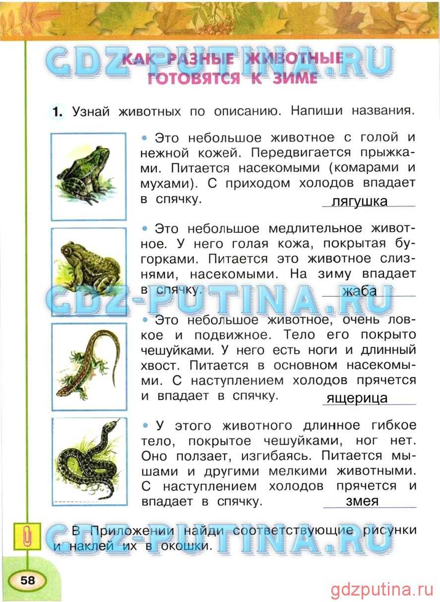 Сочинение описание неба 3, 5 класс