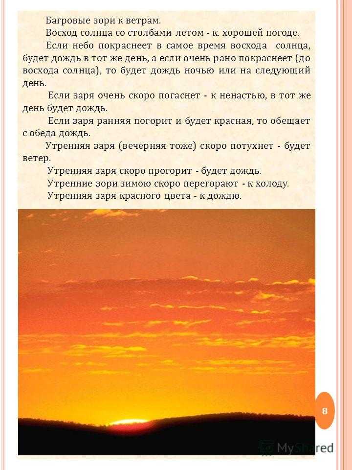 Летнее утро