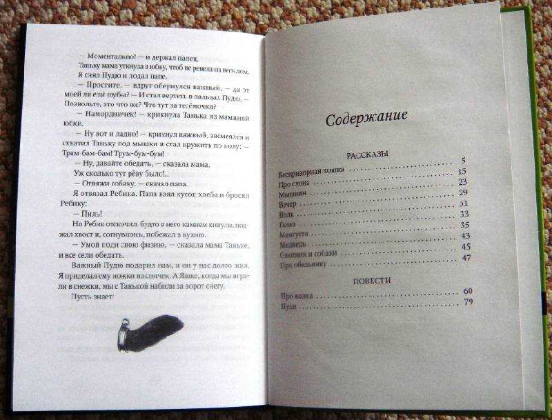Беспризорная кошка / б.с. житков - читать онлайн, скачать, печатать текст