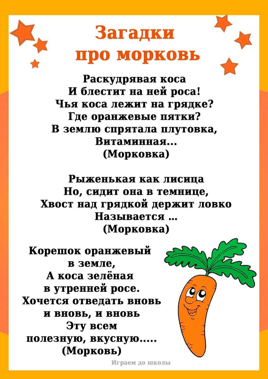Загадки и пословицы про морковь. загадки про морковь