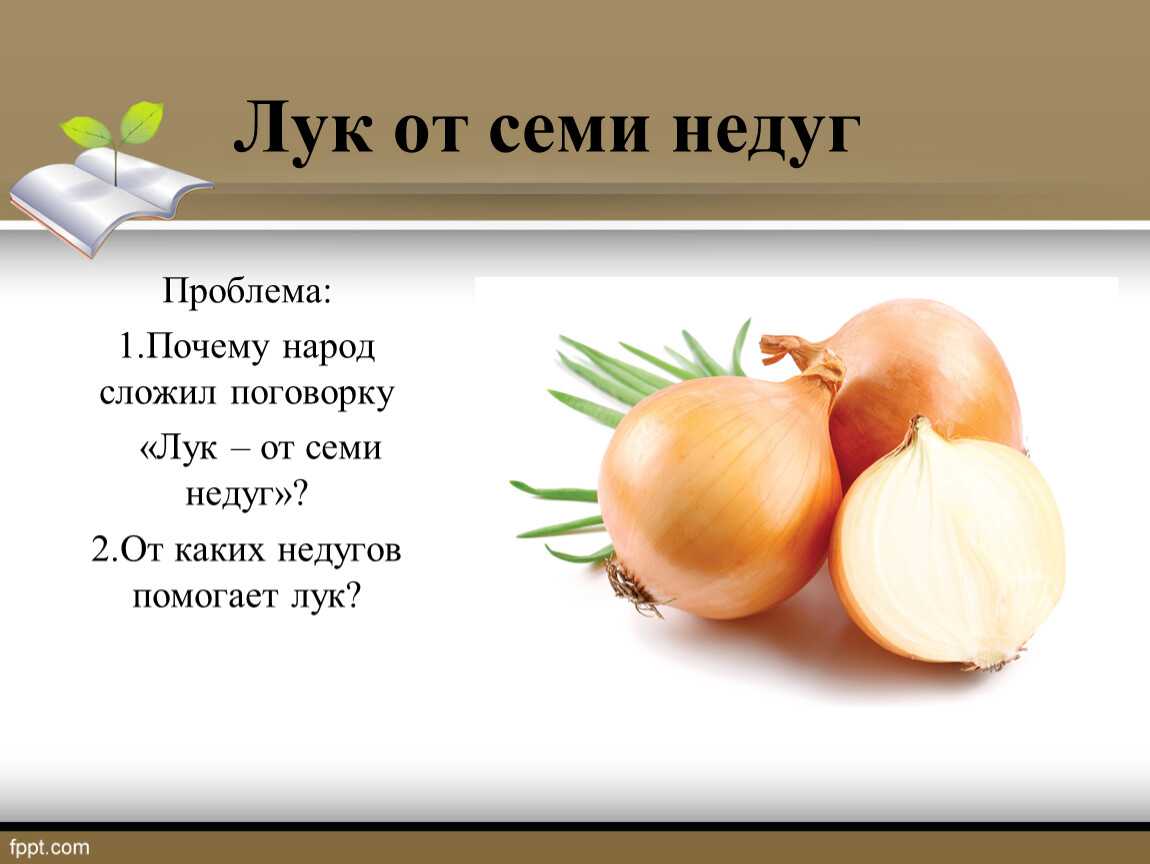 Викторина «что мы знаем о продуктах»