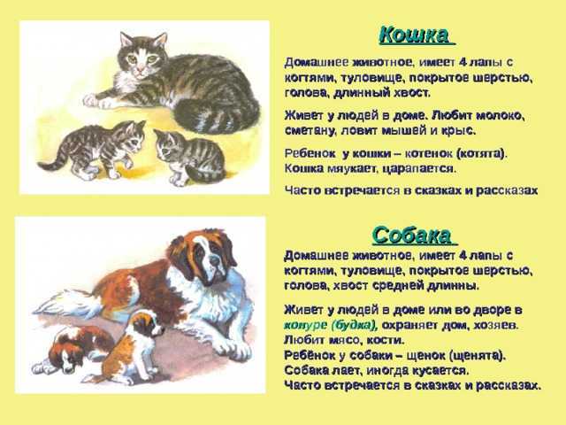 Придумать сказку по литературе для 3 и 5 класса