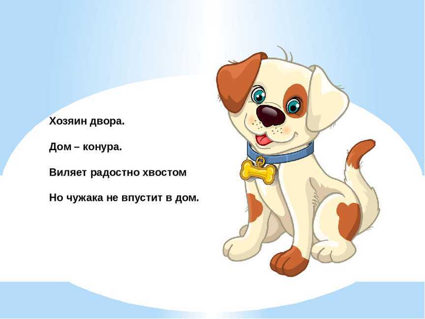 Фантазёры - читать рассказ носова онлайн