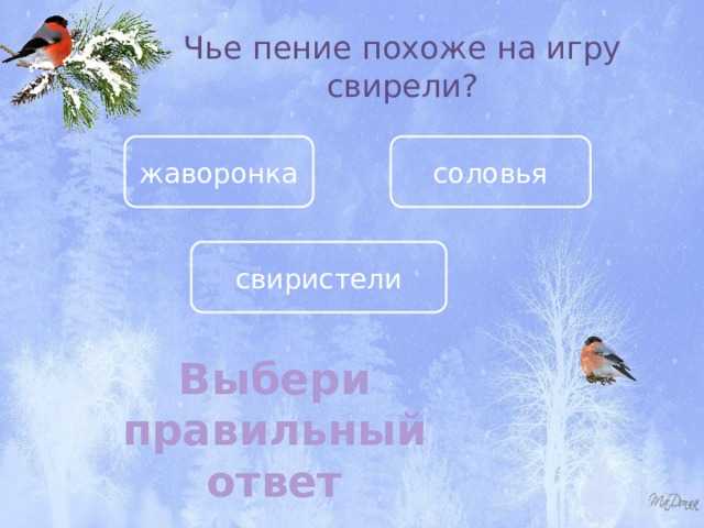 Познавательная викторина для детей старшего дошкольного возраста на тему «перелётные птицы»