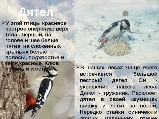Скачать песню николай сладков - кто в моем доме живет? бесплатно и слушать онлайн | zvyki.com