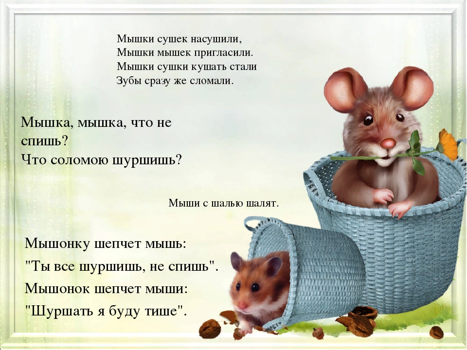 Пословицы и поговорки о кошках и 
			котах