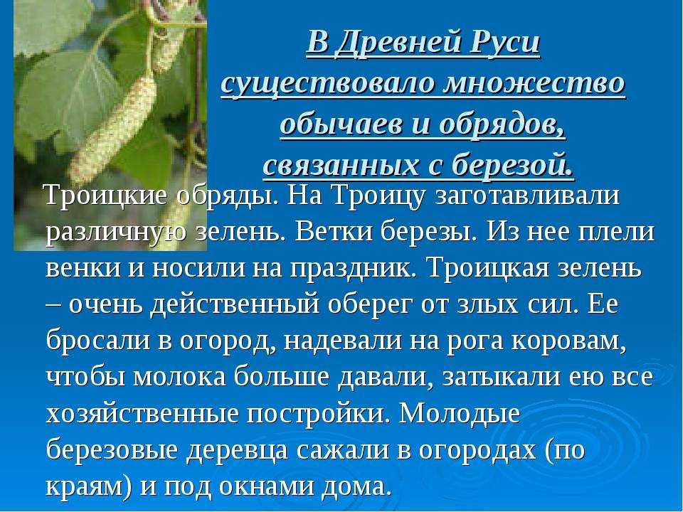 — а ты зарабатывай, как нормальные мужики, будет тебе и картошка.