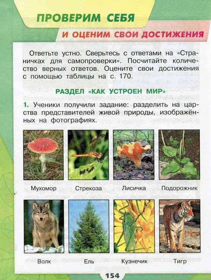 Солнце, растения и мы с вами (3 класс) по окружающему миру