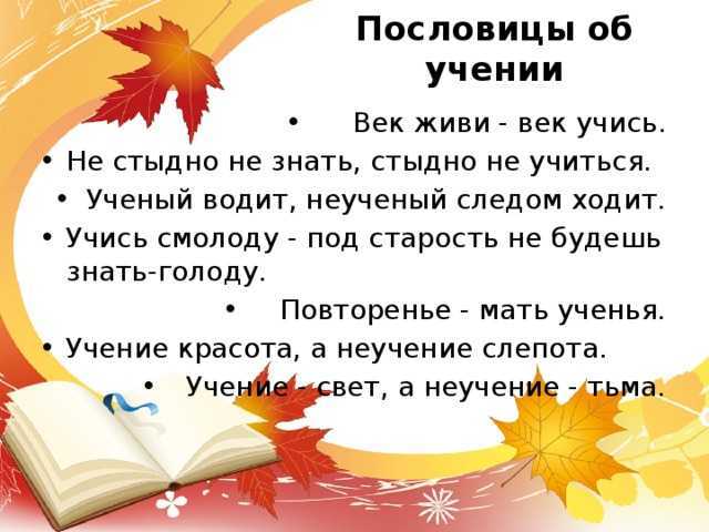 Пословицы и поговорки про учение и знания для детей школьного возраста