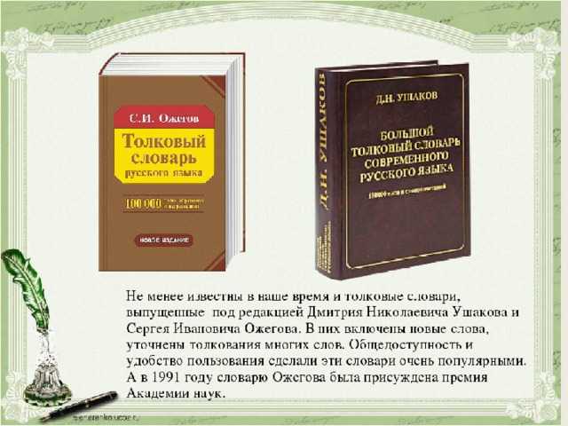 65 лучших цитат о совах, которые принесут вам мудрость