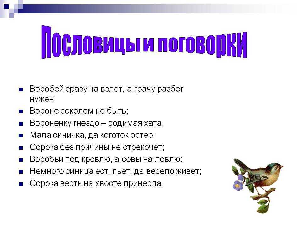 Смысл пословицы вороне соколом не быть. загадки, пословицы и стихи про ворону. приметы о воронах