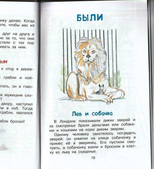 Рассказ л толстого у вари был чиж. лев николаевич толстой. рассказы для детей