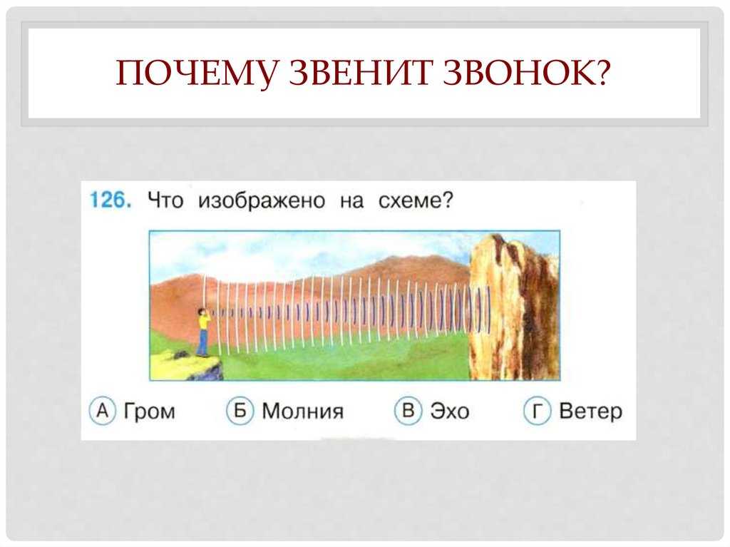Сказка про муравья вопросика и ушастика