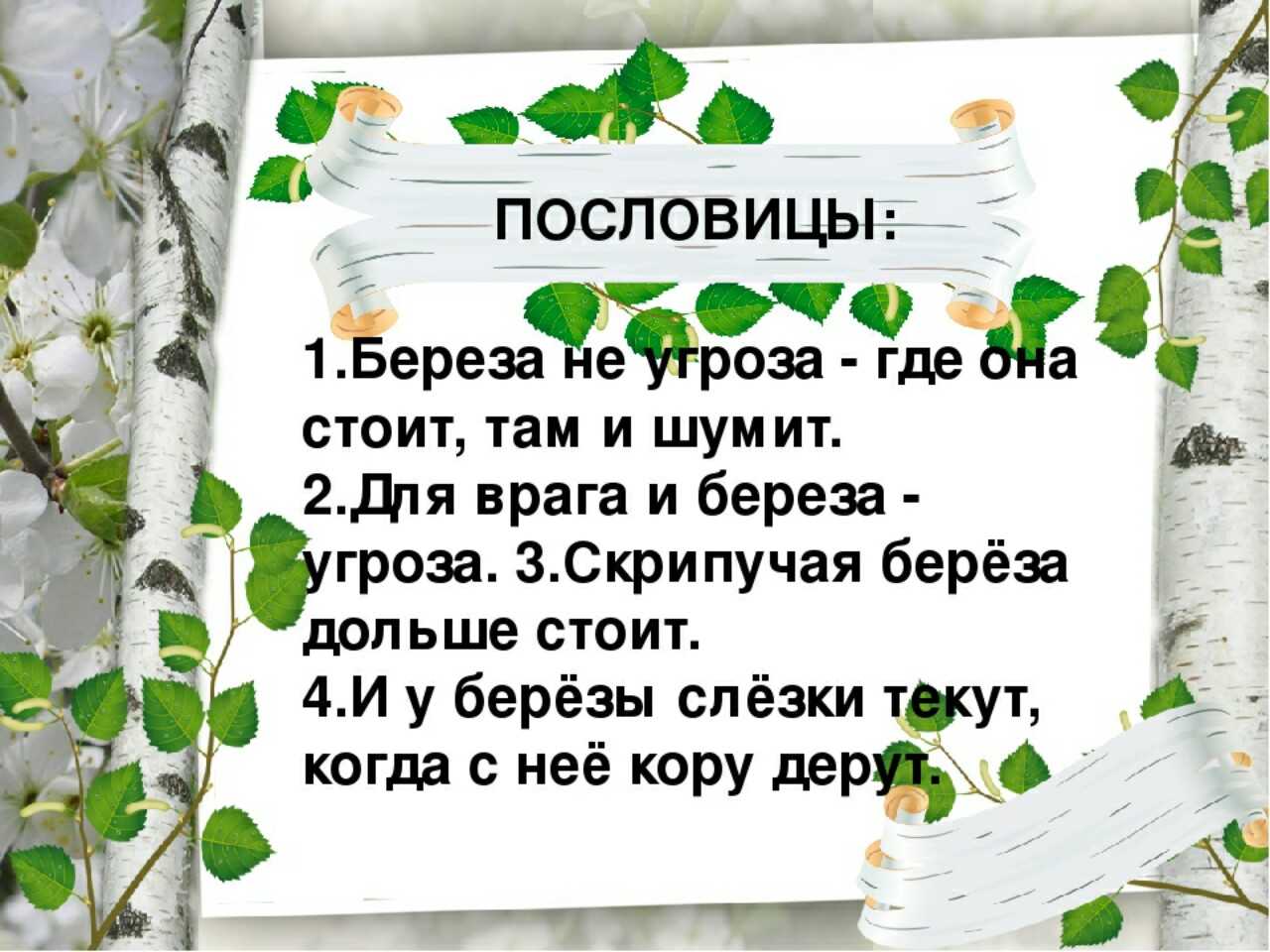 : толкование этимология ребус фразеологизмы загадки пословицы и поговорки запомни! берёза однокоренные слова берёза берёзка берёзоньк а березняк берёзовый. - презентация