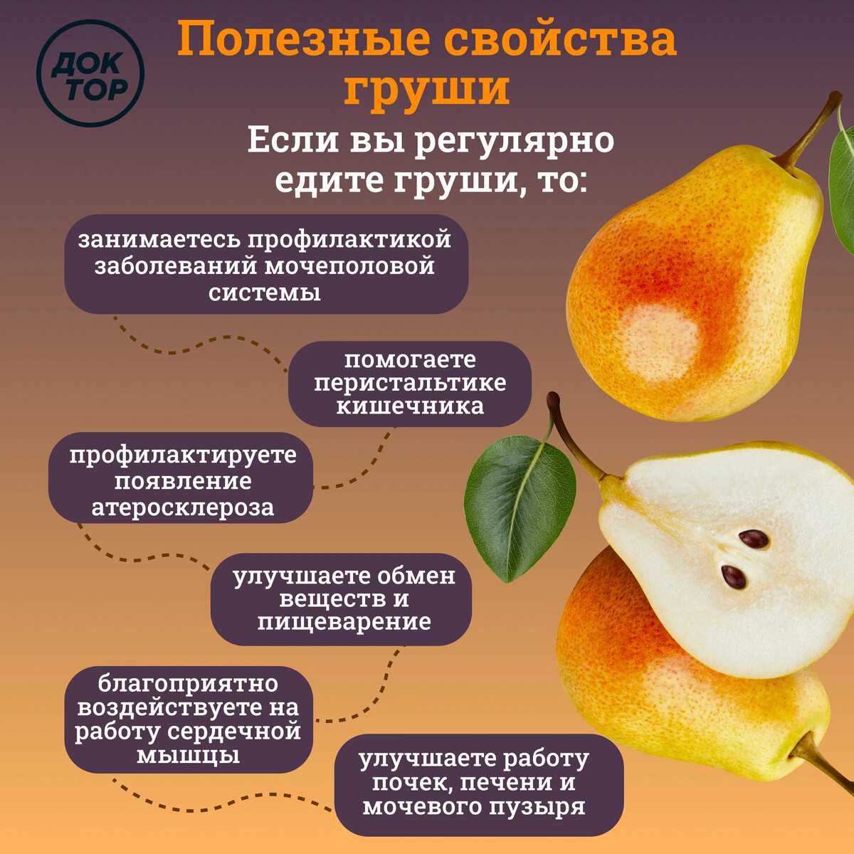 Груша: почему это дерево на руси считалось волшебным — кириллица — энциклопедия русской жизни