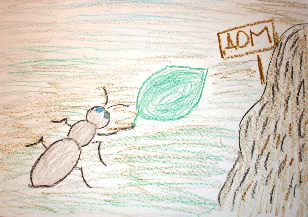 Как муравьишка домой спешил бианки читательский дневник