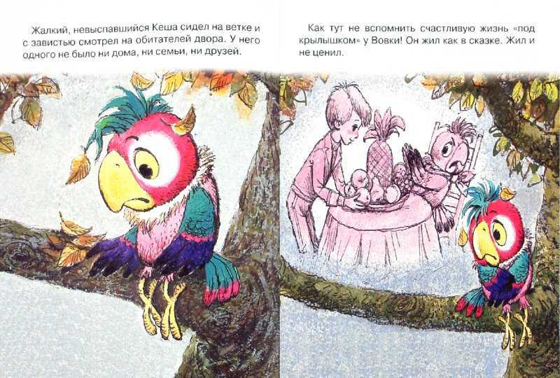 Сказка «волшебный попугай». воспитателям детских садов, школьным учителям и педагогам