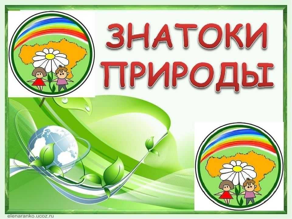Природные зоны лесов мира: характеристика, особенности, растительный и животный мир