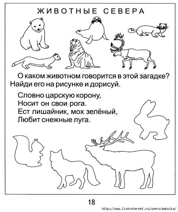 Рассказ о тигре