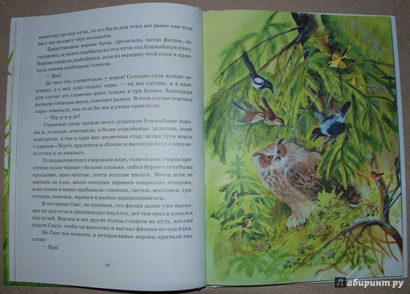 Птичка гаечка рисунок: птичка гаечка - 32 фото: смотреть онлайн уроки рисования для начинающих, мультики, раскраски.