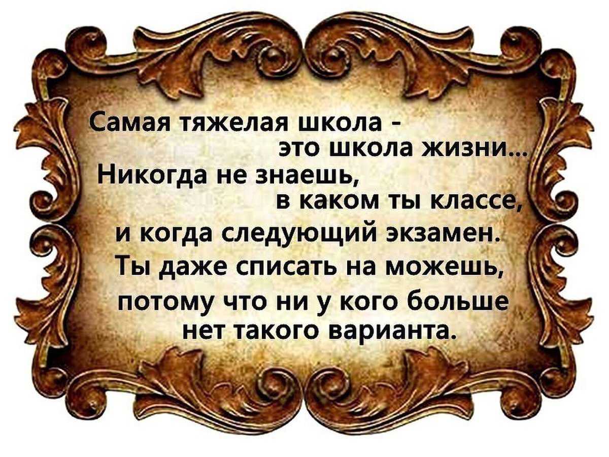 Поговорки про птиц - clubtravelms.ru