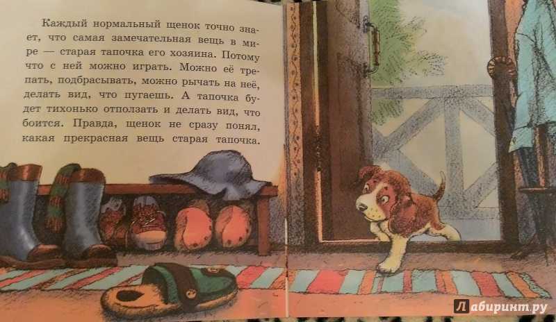 Сказка сова - бианки в.в. онлайн читать с картинками