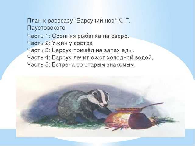 Книга барсучий нос - читать онлайн