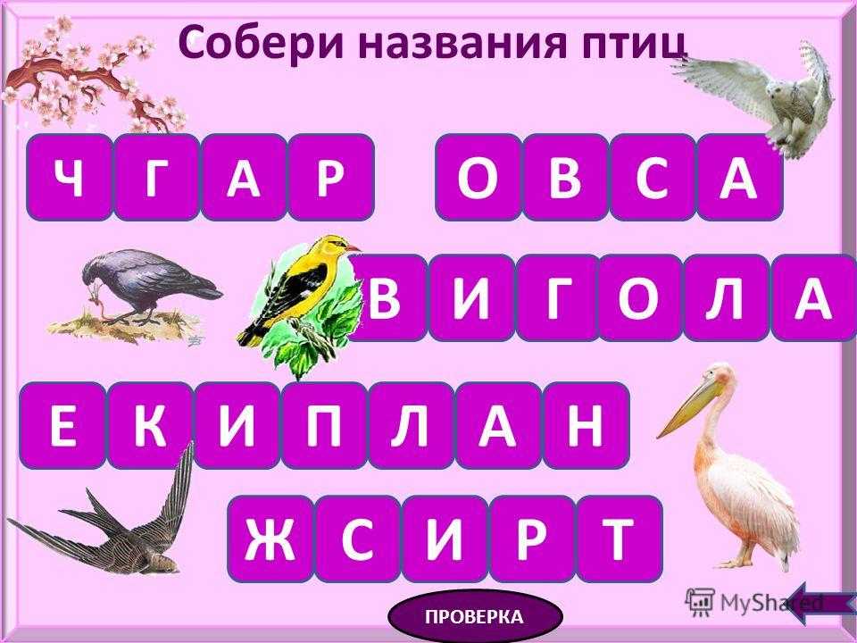 Ответ на загадку на вид неказист зато голосист