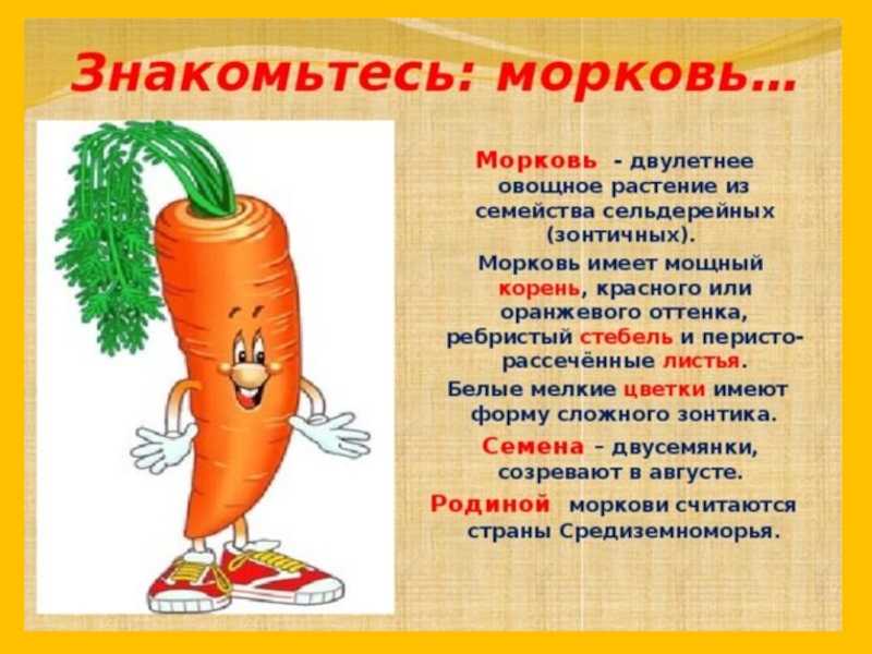  сказки про овощи для детей