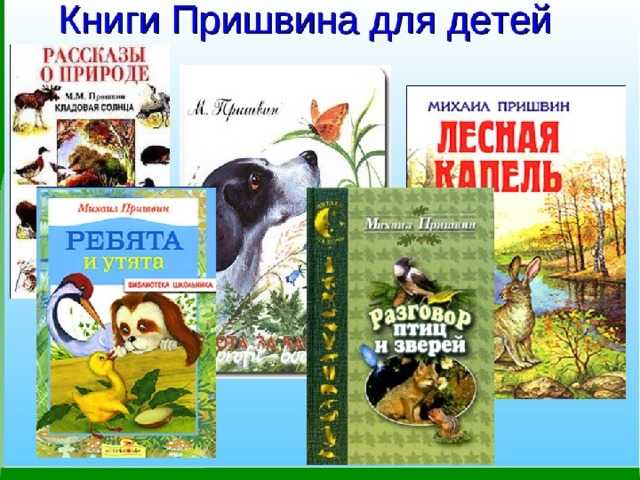 Ёж - сказки пришвина: читать с картинками, иллюстрациями - сказка dy9.ru