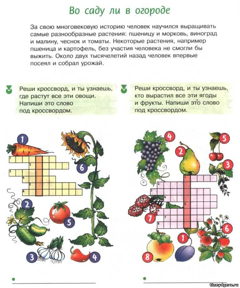 «русский хлеб» – зовём мы крошку. загадки про картошку