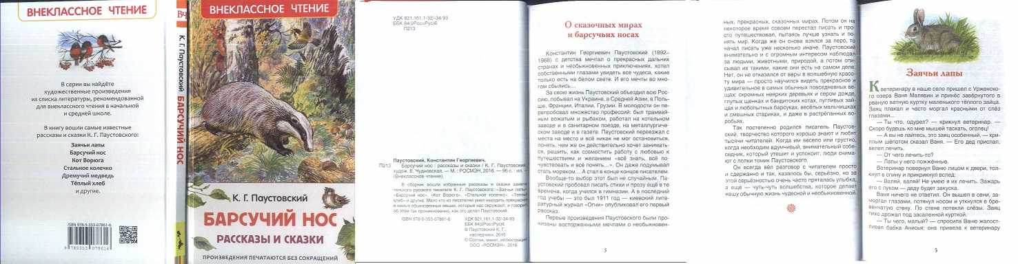 Краткое содержание паустовский барсучий нос читательский дневник