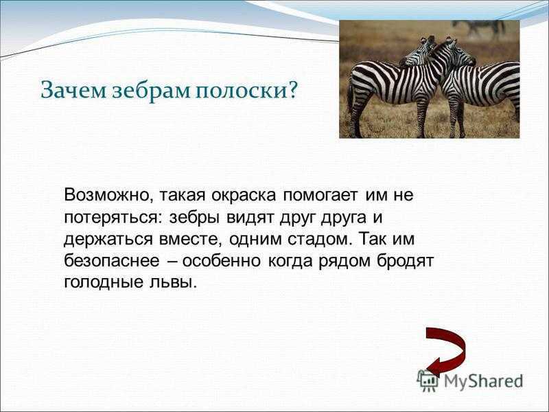 Полосатая история — терапевтическая сказка