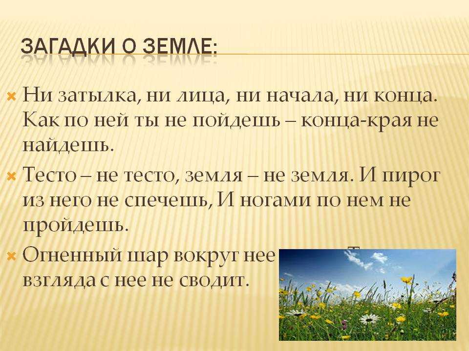 Загадки уральские о земле кормилице и растениях. пословицы и поговорки про растения