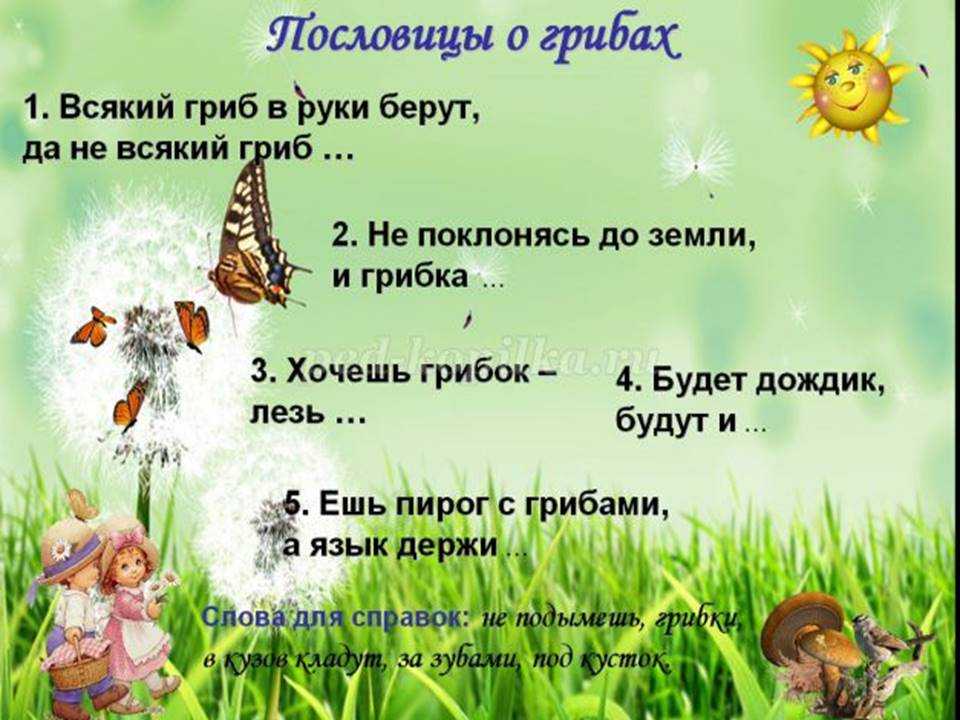 Детские загадки о грибах с ответами. 100 лучших